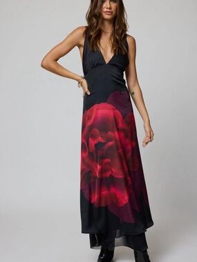 Stillwater V-Neck Maxi Dress with Red Floral Print Originally $274 NWT